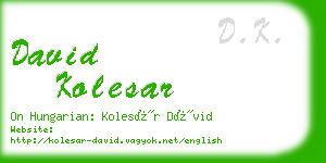 david kolesar business card